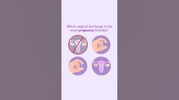 Get Pregnant Faster Using the Premom App