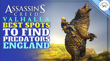 AC VALHALLA where to find predators. Complete "Kill Predators" Challenge