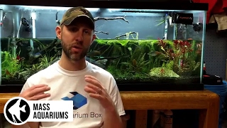 How to REMOVE NITRATES from your Aquarium. 3 steps to Balance Nitrate levels in your Aquarium