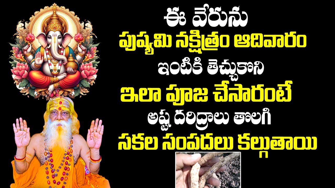 ఈ  వేరు ఇంట్లో ఉంటే అపర కుభేరులు అవ్వడం కాయం || Tella Jilledu Pooja Vidhanam
