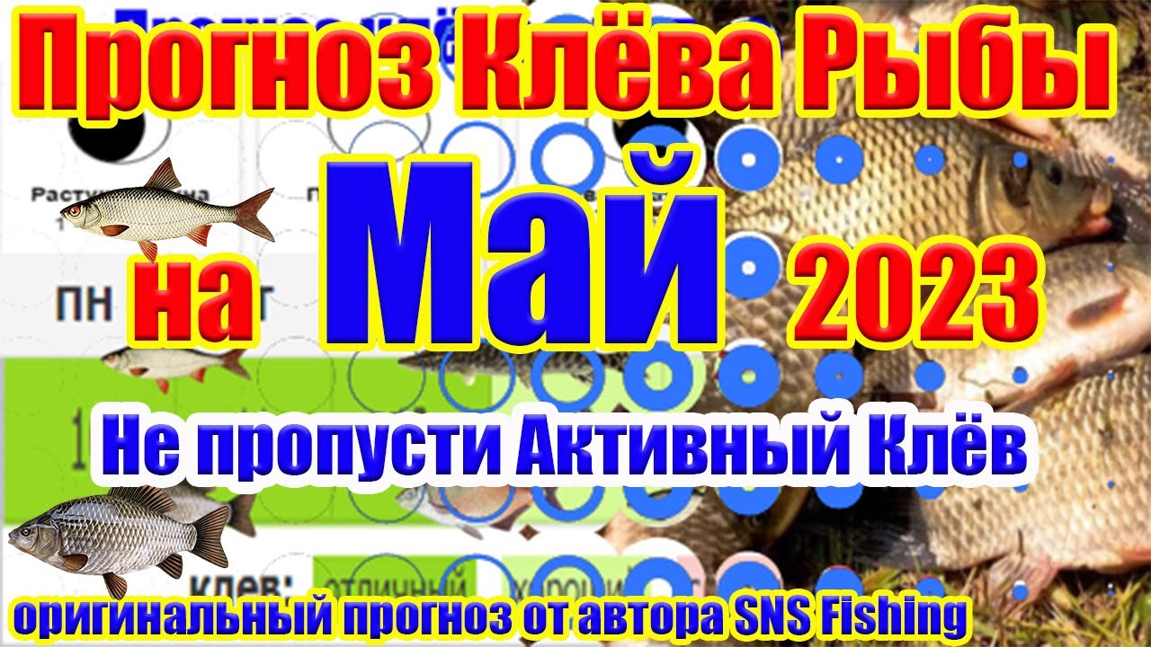 Календарь рыбака на Май 2023 Прогноз клёва рыбы на Эту неделю Лунныйкалендарь рыбака - YouTube