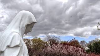 Good Shepherd Sunday (5-3-2026) at St. Mary's