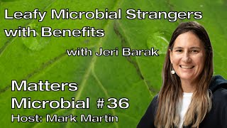 Matters Microbial #36: Leafy microbial strangers with benefits