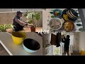 50代女/一人暮らし/鰯カルパッチョ風/仕事の話し/植物植え替え