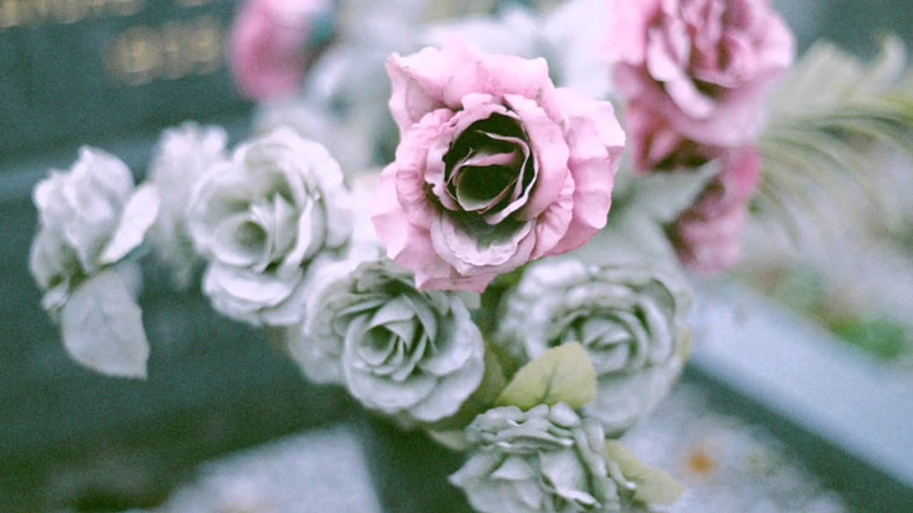 Treebeard - Cemetery Garden