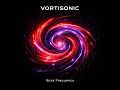 VORTISONIC Ibiza Frequency. Ibiza beats that own the night