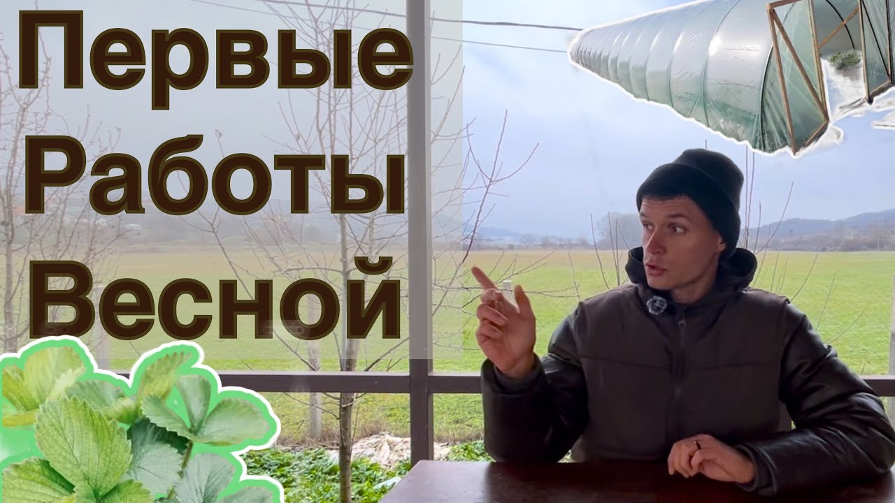 Старт сезона. Первые работы на клубнике 