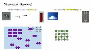 Aqueous solutions and dissolving | Solutions & acidity | meriSTEM