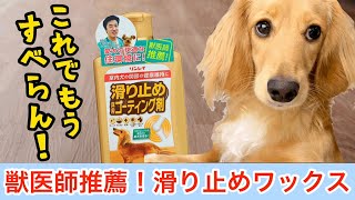 獣医師推薦！リンレイの滑り止めワックスかけてみた‼️ミニチュアダックスフンド