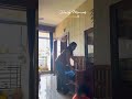 Some daily moments ,Calm morning vibes🌸#dailyshorts #morning #calm #homemaker #home #ytshorts