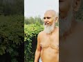 Awesome Garden Crop. #ytvideo #trend #farming #viral