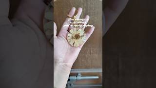 Sunflower theory|Resin keychain|Name keychain|Couple reels|Love and relationship
