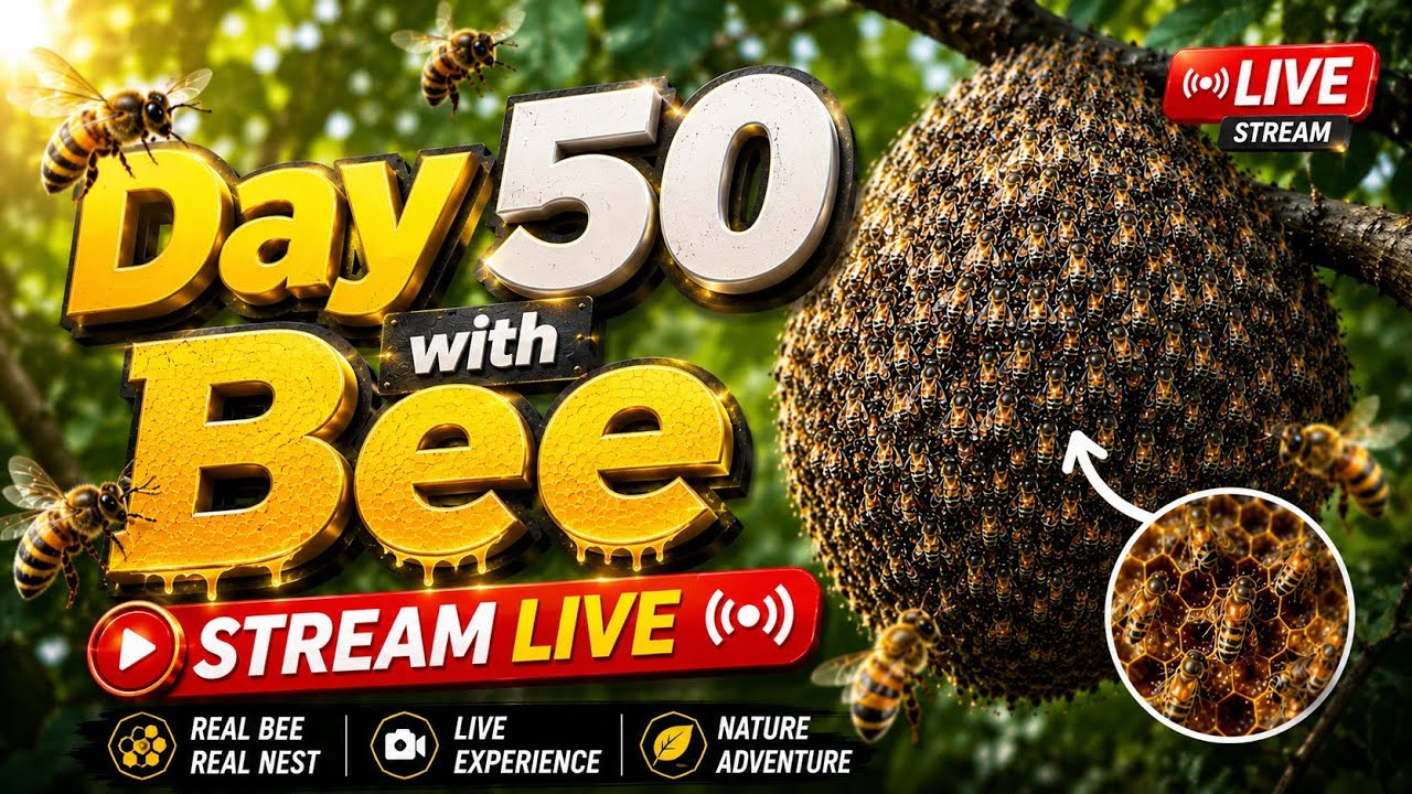 The Incredible Life of Bees | Day50 Adventure #Bees #BeeSwarm #HoneyBee #Nature #Wildlife #Amazing
