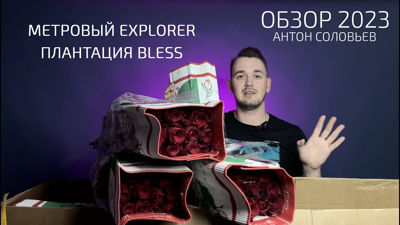 большая разница 2023 год. большая разница 2023 год. большая разница 2023 год. большая разница передача. большая разница 2023 год.