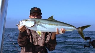 YELLOWTAIL and BLUEFIN - A Day on the Water