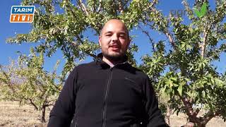 HASAT SONRARI UYGULAMALAR ENES ÇALIŞKAN UYARI