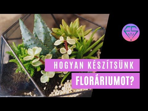 Videó: Hogyan Készítsünk Gyönyörű Szöveget