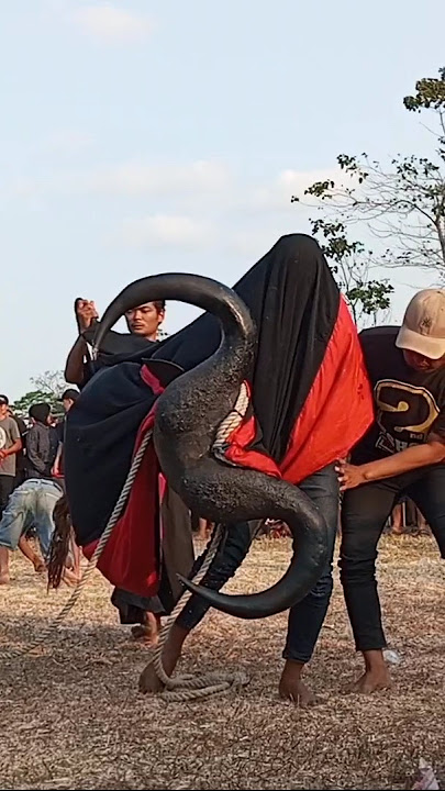 Bantengan jumbo #bantenganmalang #shorts #senibantengan #semuaorang #shortsviral #fyp #trending