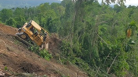 CAT D6R XL Takes Action to Clean up Long Abandoned Plantations