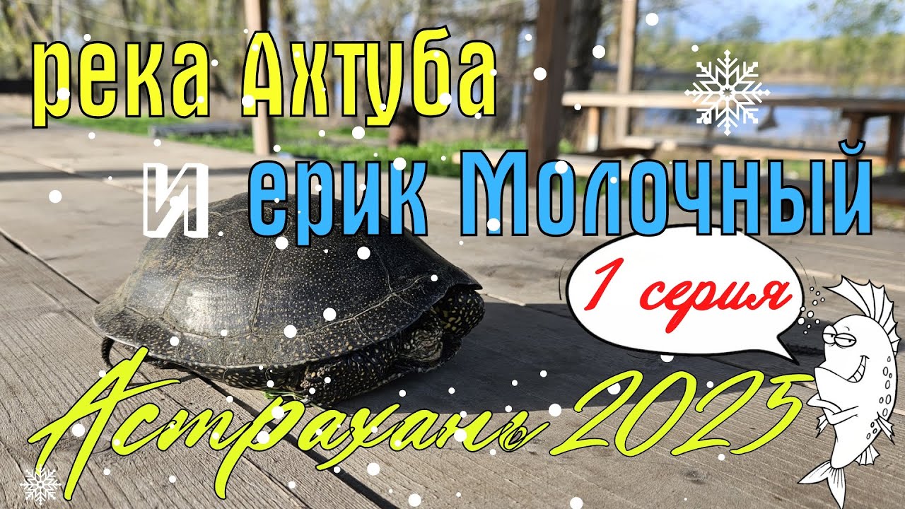 Неделя дикарями на реке Ахтуба и ерике Молочный. Харабали