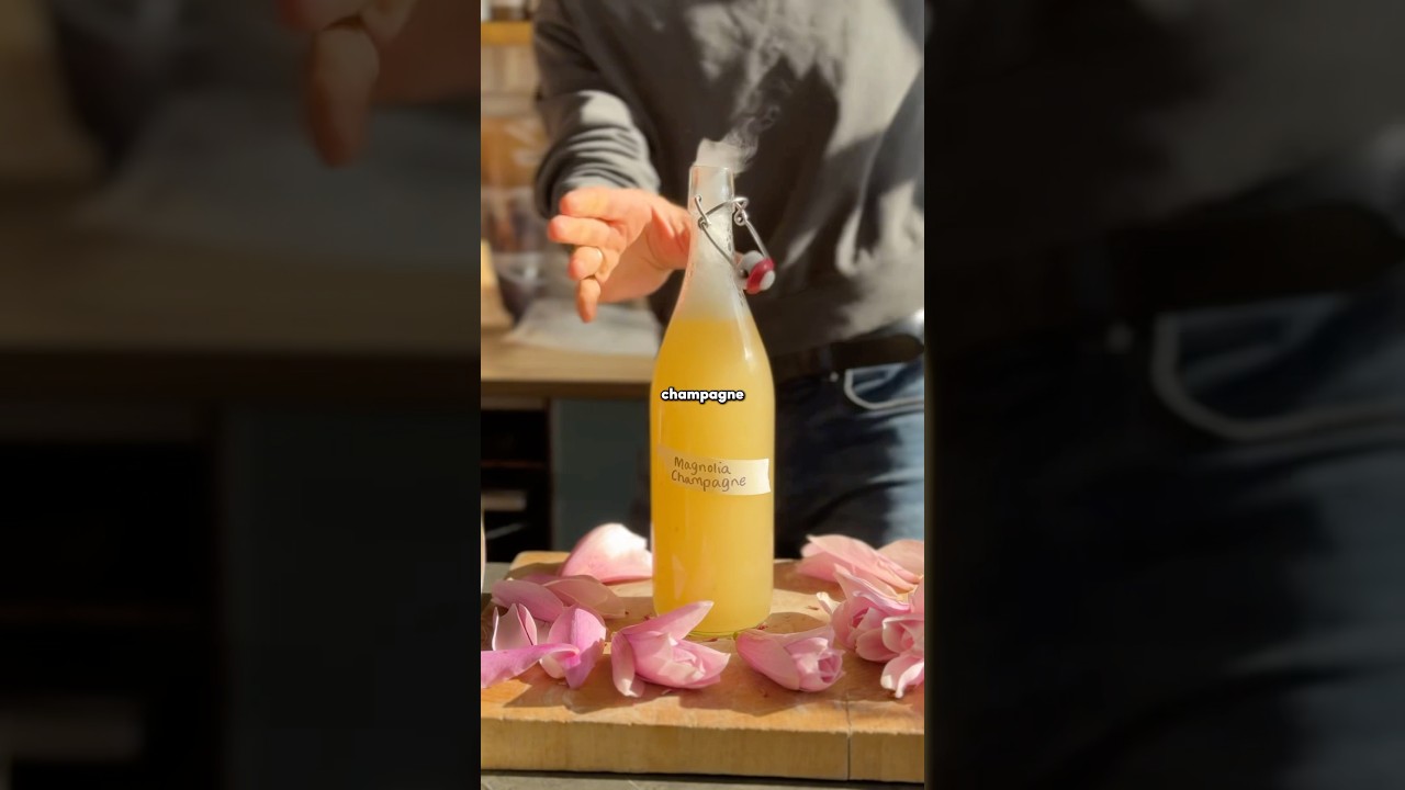 Non alcoholic Magnolia Champagne - naturally fermented and gut healthy