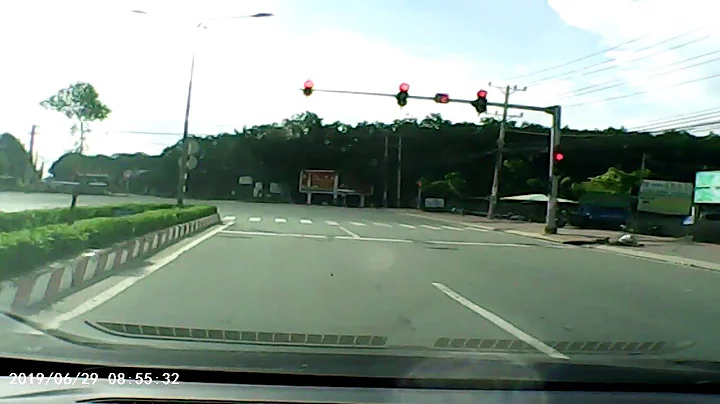 Pedestrian Puppy Uses Crosswalk || ViralHog