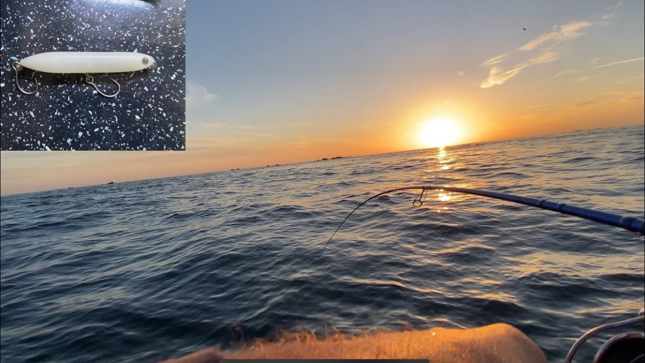 COMMERCIAL Bass FISHING with Top Water Lures!!