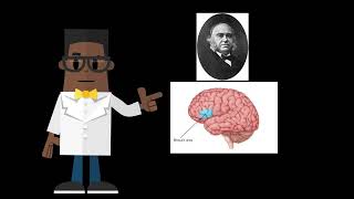Is ‘Left Brain vs. Right Brain’ a Real Divide?