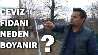 Fi̇dan Nasil Boyanmali ?