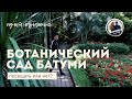 Ботанический сад Батуми. Грузия 2022.