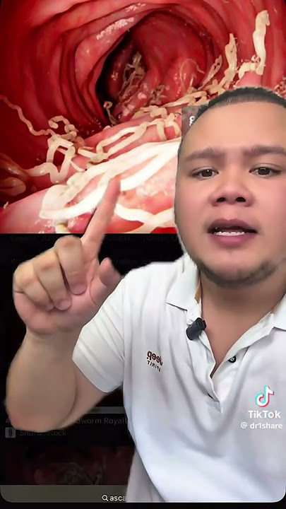 Download lagu UntukSemuaOrang#KongsiBersama#SemuaBoleh#UntukKitaSemua#JomSupport#KitaSatu#VibesBaik#KasihUntukSems