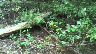 IMG 19591