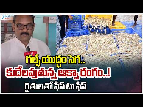 Israel-US-Iran Conflict Impact: AP Aqua Farmers Face Huge Loss As Exports Get Interrupted!! | ZEE - ZEE24TELUGUNEWS