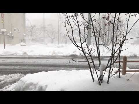 長岡市　2018.1.26お昼の降雪の様子　こなぁ～ゆきぃ～