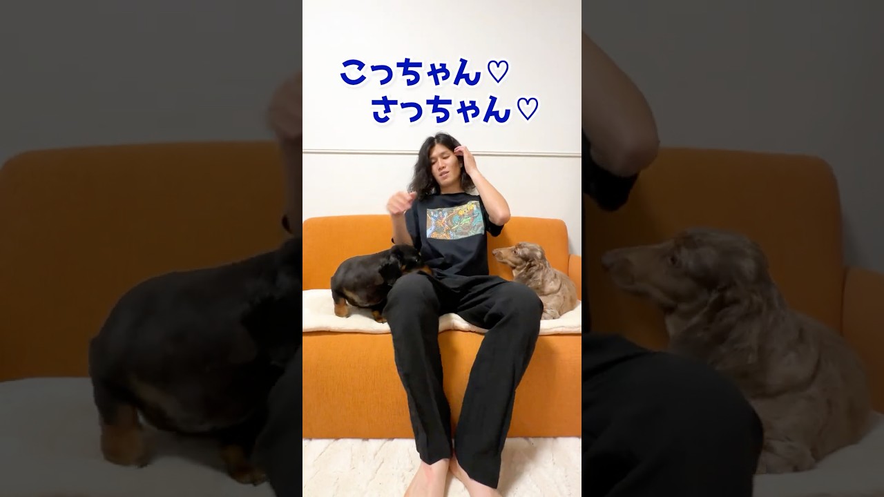 さすがにこれは…【ルービックキューブ】