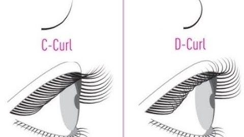 Which Lash Curl Is Best For You? C vs. D Curls | Flash Your Style