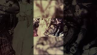 Celebrity Researchers Decode Secret Encrypted Letters of Mary, Queen of Scots Profile