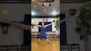 ズートピア2 zoo踊ってみた #zootopia2 #dance #ダンス