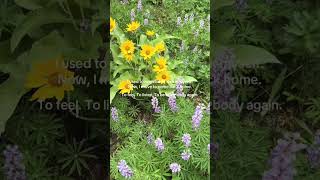 Movement is medicine Choose rituals over routines and feel... #Shorts #braverher