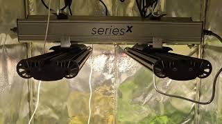 Grow Journal: IMPERIUM X Indoor | Day 57