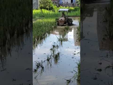 Video máy cày nhỏ nhưng có võ,minee traiktar,मिनी ट्रैक्टर... - youtube