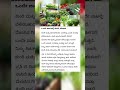 🌱Best Kitchen Garden Combo:Amazing Gardening Hack #viralvideo #short #shorts #youtubeshorts #news