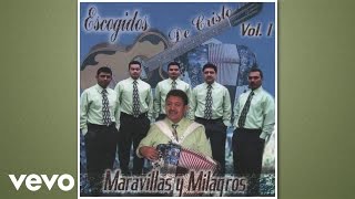 Video thumbnail of "escogidos de cristo - Rosotro Divino (Audio)"