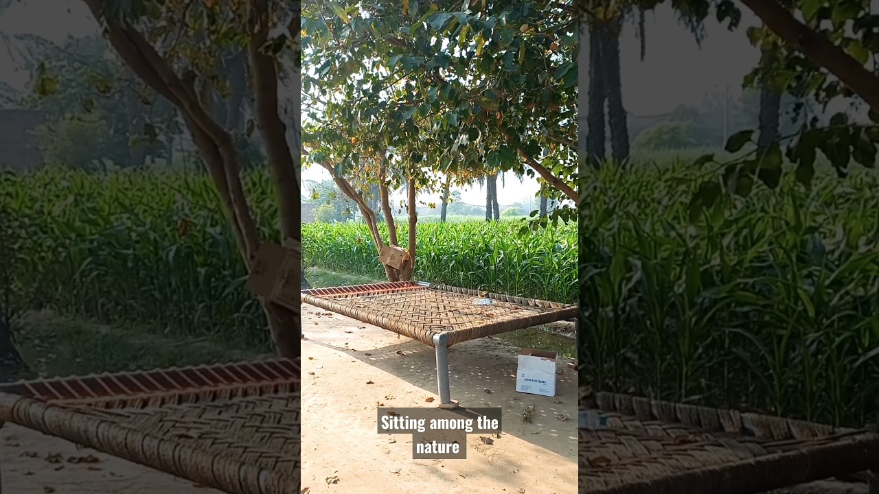 Nature communication 