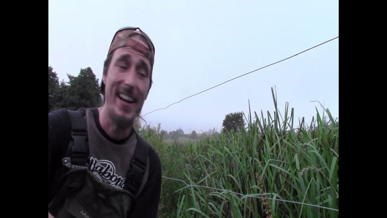 Catch and Cook UK: Signal Crayfish....... MONSTER Crayfish!