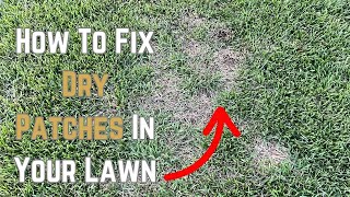 How to Fix Dry Patches in Your Lawn | Easy Lawn Repair Tips