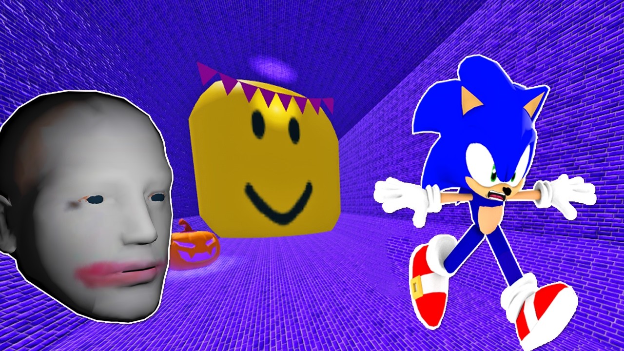 Sonic Played Noob Head Escape Obby in ROBLOX | Sonic Plays Roblox