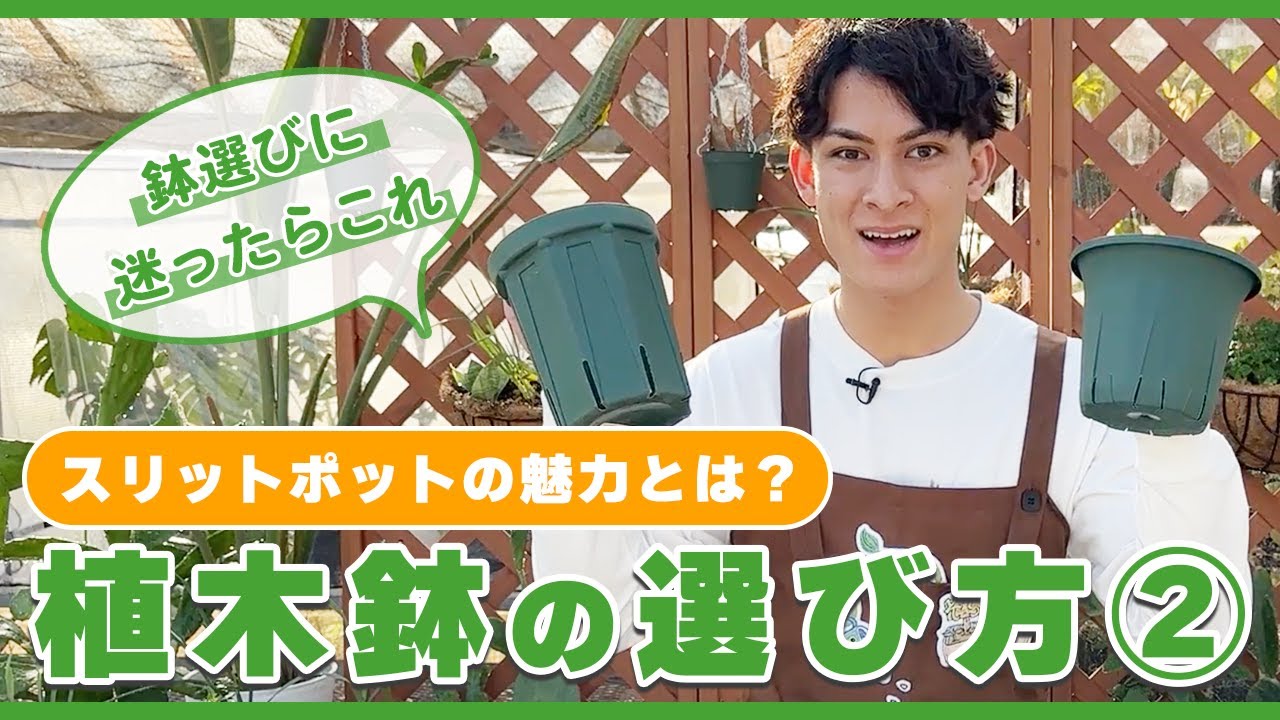 使わなきゃ損する！] 最強の鉢、スリットポットの秘密〜後編〜 - YouTube