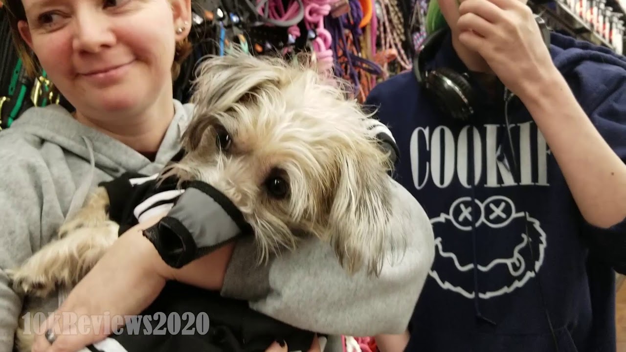 Why Petco's dog muzzle is completely worthless YouTube