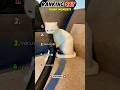 RANKING Cat Funny momentsRanking the Funniest Cat Moments  #cat #funnyanimal